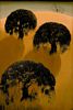 Three Oaks (36 x 24)